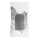 Встраиваемый в стену гипсовый светильник под покраску с эффектом разрушенной стены Antiquity Athena варинант исполнения - 2 | Loft Concept в Волгограде