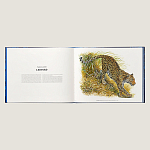 Лимитированная подарочная книга HERMES Fierce and Fragile book, English version варинант исполнения - 3 | Loft Concept в Волгограде