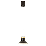 Подвесной светильник Celevis Black варинант исполнения - 2 | Loft Concept в Волгограде