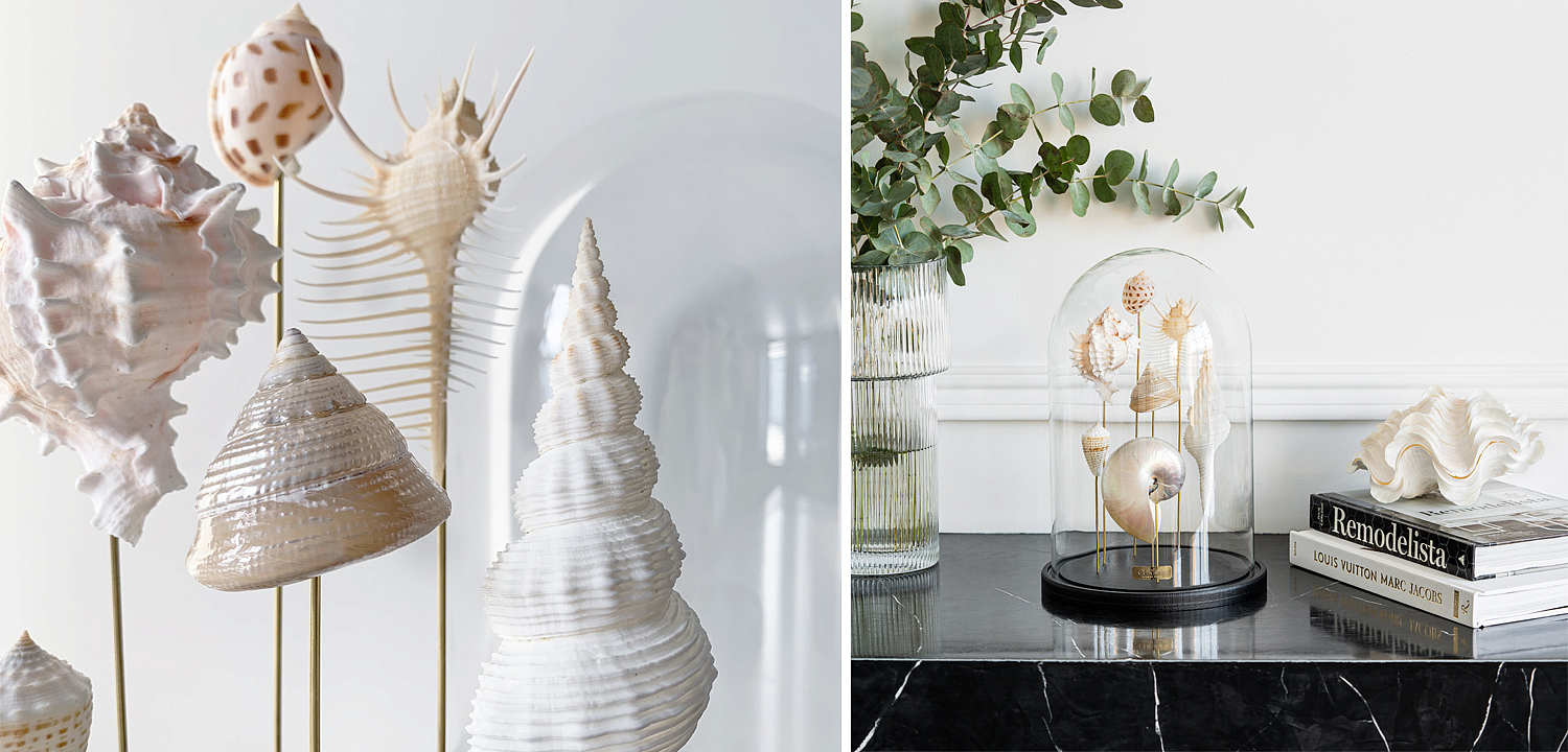 Статуэтка Shell Collection Glass Cloche 1 Статуэтка Shell Collection Glass Cloche 1 - Loft-Concept в Волгограде