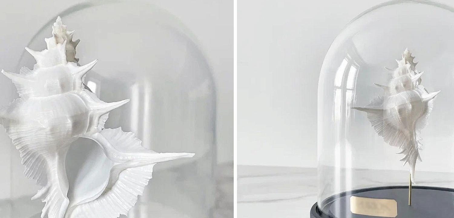 Статуэтка Murex Alabaster Glass Cloche Статуэтка Murex Alabaster Glass Cloche - Loft-Concept в Волгограде