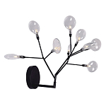 Бра в виде ветвей с прозрачными круглыми плафонами Moooi варинант исполнения - 2 | Loft Concept в Волгограде