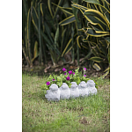 Кашпо Canaries варинант исполнения - 6 | Loft Concept в Волгограде