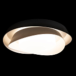 Потолочный светильник круглый черного цвета из металла Vita Cuna варинант исполнения - 1 | Loft Concept в Волгограде