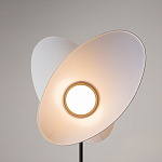 Напольный светильник Evolution 3000К 12Вт варинант исполнения - 5 | Loft Concept в Волгограде