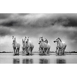 Книга Beusker. Look into my Eyes варинант исполнения - 4 | Loft Concept в Волгограде