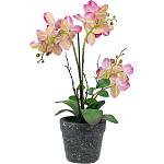 Декоративный искусственное растение Pink orchid варинант исполнения - 5 | Loft Concept в Волгограде