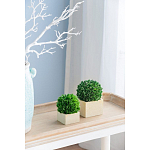 Декоративный искусственное растение Square boxwood варинант исполнения - 5 | Loft Concept в Волгограде