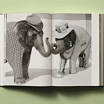 Книга в подарок творческий путь Брюса Вебера Bruce Weber. My Education варинант исполнения - 6 | Loft Concept в Волгограде