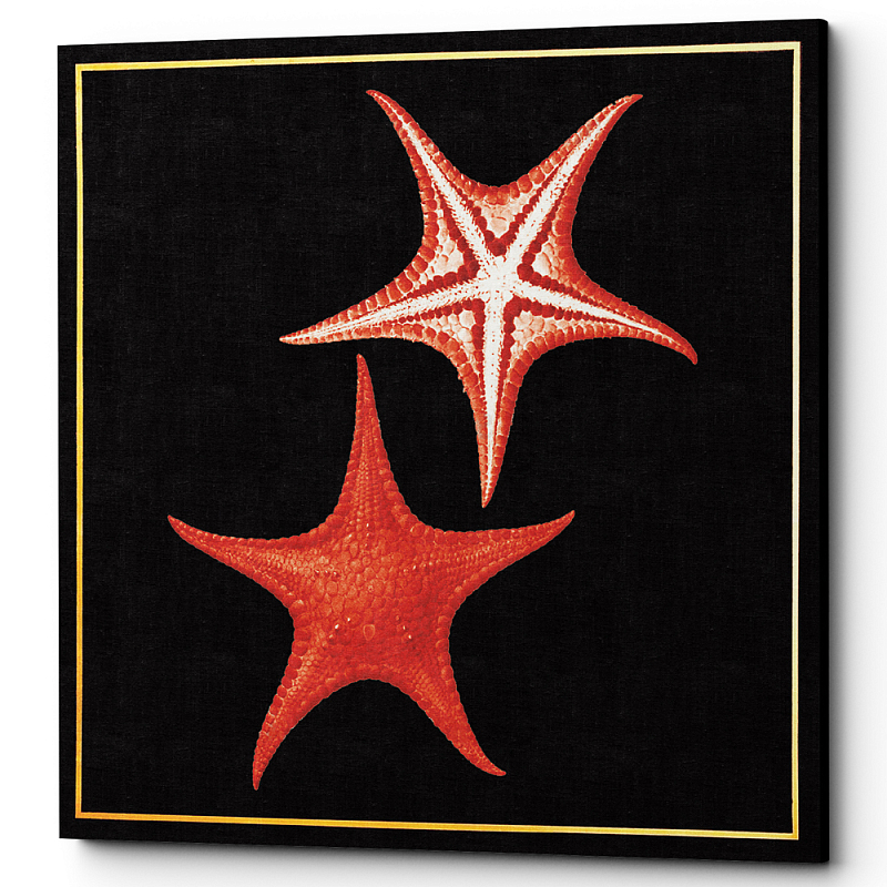 Постер Sea Stars Poster Черный Красный в Волгограде | Loft Concept 