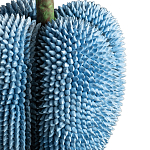Статуэтка тропический фрукт Tropical Fruit blue варинант исполнения - 3 | Loft Concept в Волгограде
