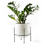 Кашпо из керамики Elevated Planters 32 варинант исполнения - 11 | Loft Concept в Волгограде