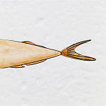 Плитка с узором Рыба Русалка варинант исполнения - 6 | Loft Concept в Волгограде