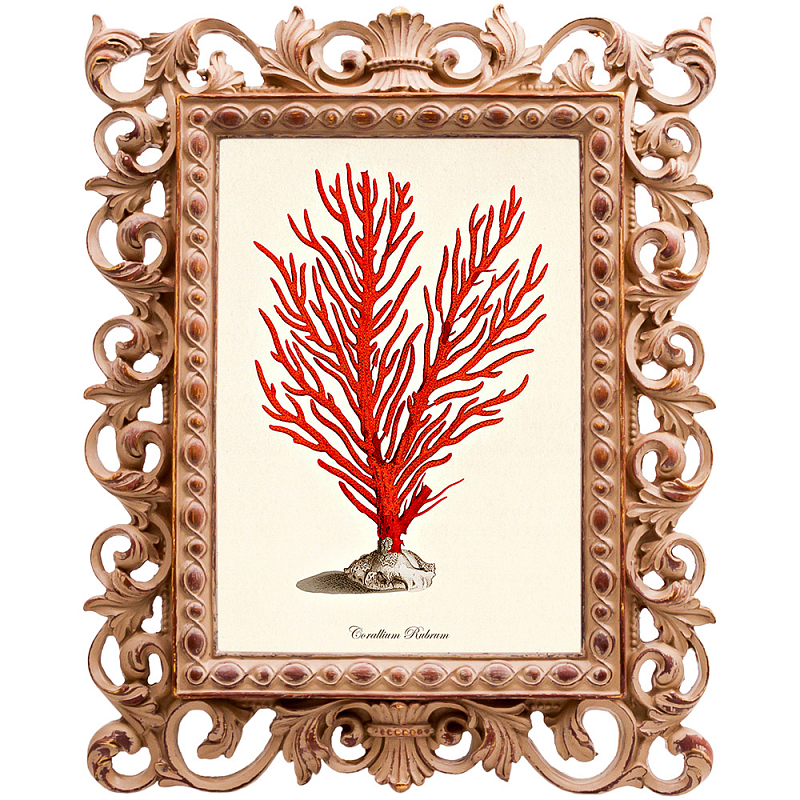 Постер Red Coral Poster 1 Бежевый Красный в Волгограде | Loft Concept 