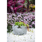 Кашпо A collection of baby rabbits варинант исполнения - 9 | Loft Concept в Волгограде