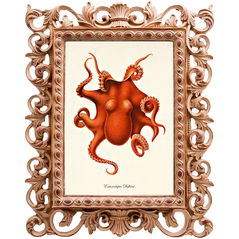 Постер Red Octopus Poster Бежевый Красный в Волгограде | Loft Concept 
