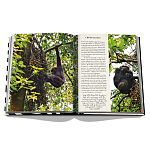 Подарочнный коллекционный фото альбом AFRICAN ADVENTURES NEW 2023 ASSOULINE HC UNBELIEVABLE ILLUSTRATIONS Safari варинант исполнения - 8 | Loft Concept в Волгограде