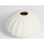 Подсвечник круглый белого цвета SeaFlowers варинант исполнения - 2 | Loft Concept в Волгограде