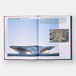 Radical Architecture of the Future варинант исполнения - 4 | Loft Concept в Волгограде