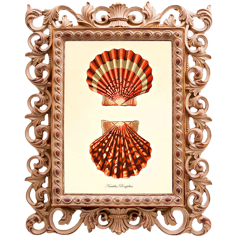 Постер Red Scallop Poster Бежевый Красный в Волгограде | Loft Concept 