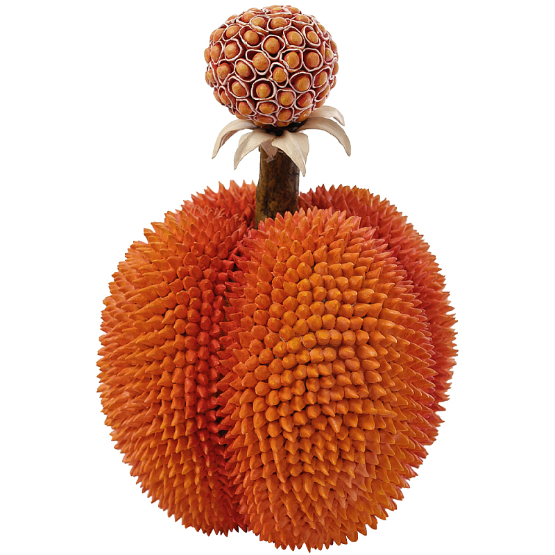 Статуэтка тропический фрукт Tropical Fruit Orange Prickly Berry Оранжевый Статуэтка тропический фрукт Tropical Fruit Orange Prickly Berry Оранжевый в Волгограде | Loft Concept