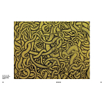 Редкое подарочное издание Yayoi Kusama: 1945 to Now варинант исполнения - 7 | Loft Concept в Волгограде