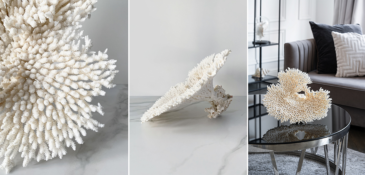Статуэтка Table Coral Статуэтка Table Coral - Loft-Concept в Волгограде