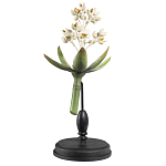 Статуэтка Wonderboom варинант исполнения - 1 | Loft Concept в Волгограде