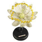 Статуэтка Tilia варинант исполнения - 1 | Loft Concept в Волгограде