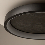 Потолочный светильник Orign 3000К варинант исполнения - 5 | Loft Concept в Волгограде