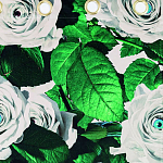 Штора Seletti Roses варинант исполнения - 1 | Loft Concept в Волгограде