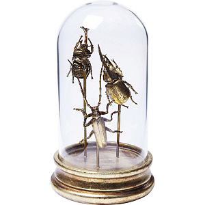 Аксессуар Жуки в колбе