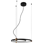 Люстра подвесная светодиодная черный металл Ring Horizontal варинант исполнения - 2 | Loft Concept в Волгограде