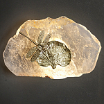 Бра Декоративный лист с стрекозой Glacial Fragment варинант исполнения - 2 | Loft Concept в Волгограде