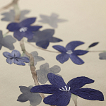 Обои ручная роспись Cherry Tree Original colourway on Stone Ochre dyed silk варинант исполнения - 3 | Loft Concept в Волгограде