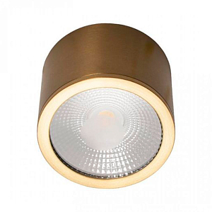 Светильник потолочный Top View Gold 60 см