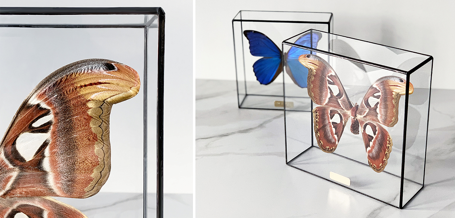 Статуэтка Butterfly Atlas Glass Box Статуэтка Butterfly Atlas Glass Box - Loft-Concept в Волгограде