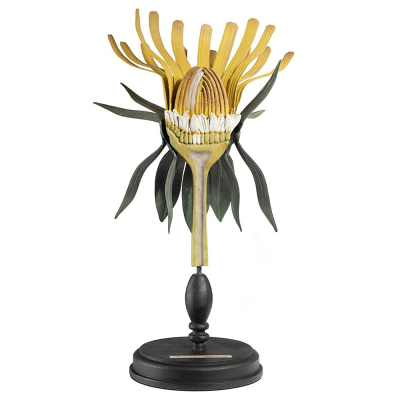 Статуэтка Dandelion Plant Черный Желтый Статуэтка Dandelion Plant Черный Желтый в Волгограде | Loft Concept