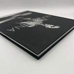 Коллекционная редкая книга Madonna: Nudes + by Martin H.M. Schreiber 2017 Букинистика варинант исполнения - 4 | Loft Concept в Волгограде