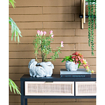 Кашпо A collection of baby rabbits варинант исполнения - 5 | Loft Concept в Волгограде