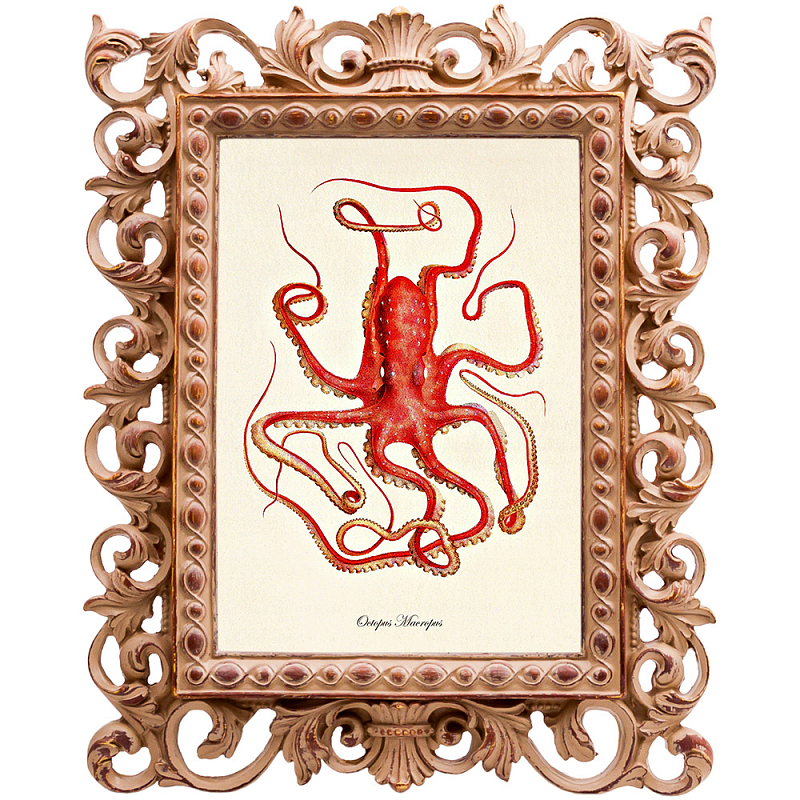 Постер Red Squid Poster Бежевый Красный в Волгограде | Loft Concept 