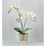 Декоративный искусственное растение Lush Orchid варинант исполнения - 2 | Loft Concept в Волгограде