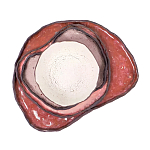 Сет из 4-х тарелок «QARTZITE» варинант исполнения - 5 | Loft Concept в Волгограде