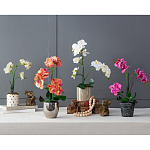 Декоративный искусственное растение Pink orchid варинант исполнения - 11 | Loft Concept в Волгограде