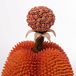 Статуэтка тропический фрукт Tropical Fruit Orange Prickly Berry варинант исполнения - 2 | Loft Concept в Волгограде