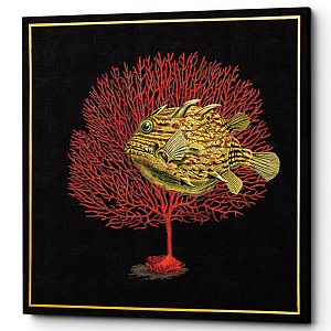 Постер Fish and Coral Poster 2