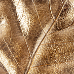 Статуэтка Metal Flowers Gold Black powder варинант исполнения - 2 | Loft Concept в Волгограде