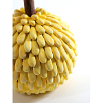 Статуэтка тропический фрукт Pandora Tropical Fruit Yellow Emerald Flower варинант исполнения - 2 | Loft Concept в Волгограде