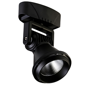 Спот Pansy spot black