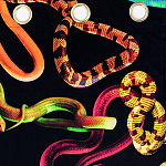 Штора Seletti Snakes Black варинант исполнения - 1 | Loft Concept в Волгограде